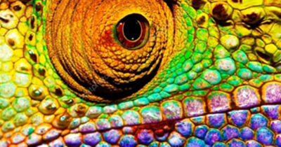 uv based products